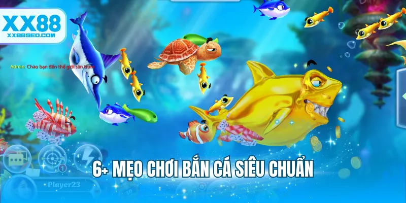 6+ mẹo chơi bắn cá siêu chuẩn